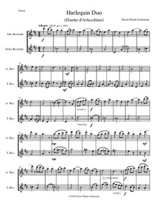 Harlequin Duo (Duetto d'Arlecchino): For alto and tenor recorders by David W Solomons