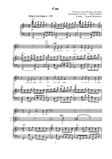 Сон: Сон by Mikhail Likhachov