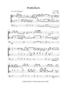 Praeludium in G minor for Organ 3 staff: Praeludium in G minor for Organ 3 staff by Franz Tunder