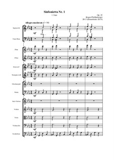 Sinfonetta Nr.1 – 1.Satz, Op.23: Sinfonetta Nr.1 – 1.Satz by Jürgen Pfaffenberger