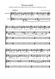 Высокая верба: Высокая верба by Anastasiya Komlikova