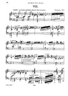 No.7 in D Minor, S.244: For piano by Franz Liszt