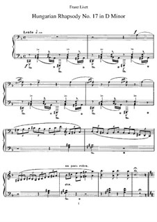 No.17 in D Minor, S.244: For piano by Franz Liszt