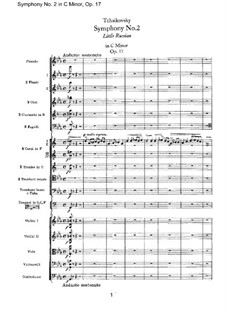 Complete set: Full score by Pyotr Tchaikovsky