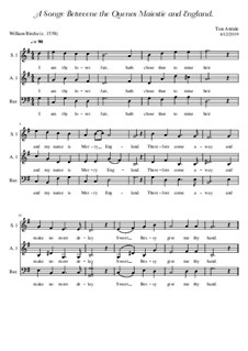A Songe Betweene the Quenes Maiestie and England: A Songe Betweene the Quenes Maiestie and England by Tim Attride