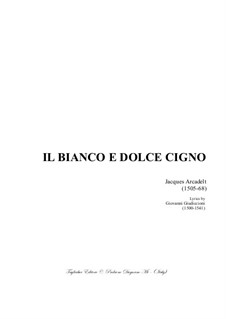 Il bianco e dolce cigno: For mixed choir by Jacques Arcadelt