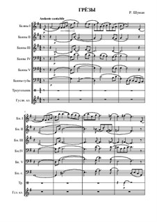 No.7 Träumerei (Dreaming): For large ensemble by Robert Schumann