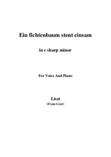 Ein Fichtenbaum steht einsam, S.309: C sharp minor by Franz Liszt