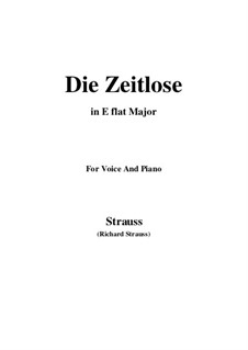 No.7 Die Zeitlose: E flat Major by Richard Strauss