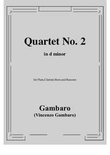 Quartet No.2 in d minor: Quartet No.2 in d minor by Vincenzo Gambaro