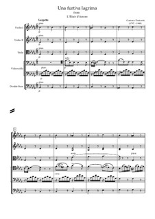 L'elisir d'amore (The Elixir of Love): Act II, Romance Nemorino 'Una furtiva lagrima', for tenor and strings orchestra by Gaetano Donizetti