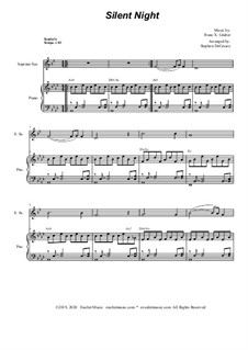 Solo instrument and piano: For soprano saxophone and piano by Franz Xaver Gruber