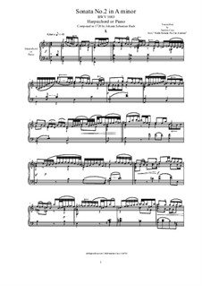Sonata for Violin No.2 in A Minor, BWV 1003: Arrangement for harpsichord or piano by Johann Sebastian Bach