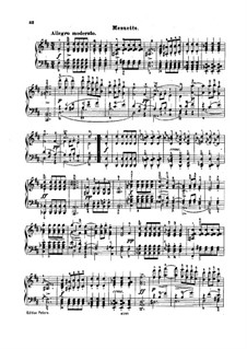 Sonata for Piano No.18 in G Major, D.894 Op.78: Movements III-IV by Franz Schubert