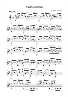 Heartwarming Etude: Heartwarming Etude by Sergej Kolgan