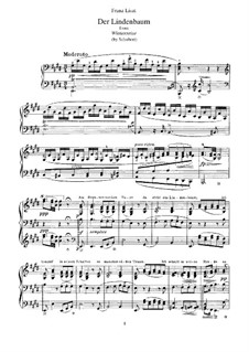 No.5 Der Lindenbaum (The Linden Tree): Arrangement for piano, S.561 No.7 by Franz Schubert