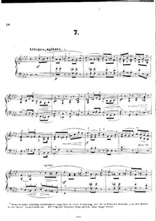 Trösteinsamkeit, Op.37: Piece No.7 by Johann Carl Eschmann