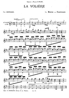 La Volière: For guitar by David del Castillo
