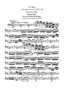 Complete set: Cello and double bass part by Johann Sebastian Bach