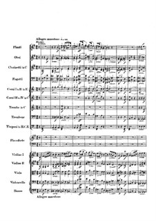 Complete Concerto: Full score by Frédéric Chopin