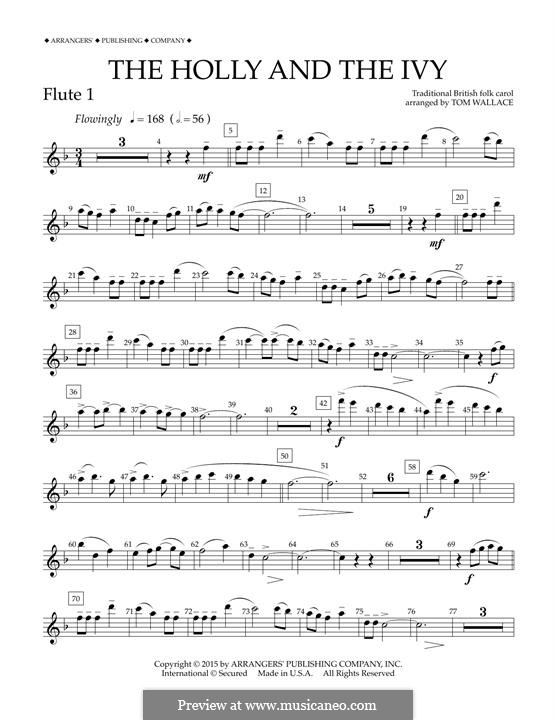 Concert Band version: Flute 1 part by folklore