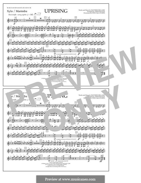 Uprising (Muse): Xylophone/Marimba part by Matthew Bellamy