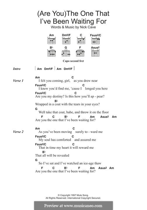 (Are You) The One That I've Been Waiting for?: For guitar by Nick Cave