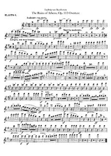 Overture: Flutes I, II parts by Ludwig van Beethoven
