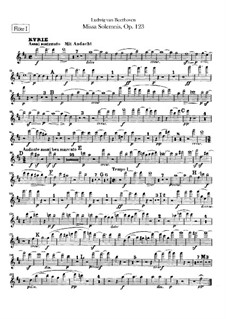 Missa Solemnis, Op.123: Flutes I, II parts by Ludwig van Beethoven