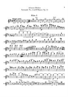 Serenade No.1 in D Major, Op.11: Flutes parts by Johannes Brahms