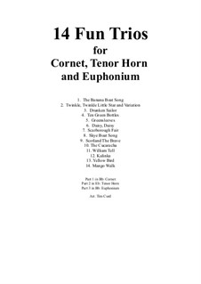 14 Fun Trios: For cornet, tenor-horn and euphonium by folklore