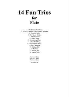 14 Fun Trios: For flute by folklore