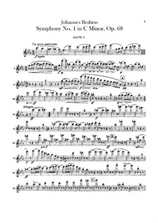 Complete set: Flutes parts by Johannes Brahms