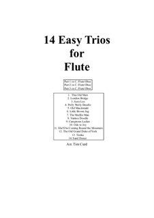 14 Easy Trios: For flute by folklore