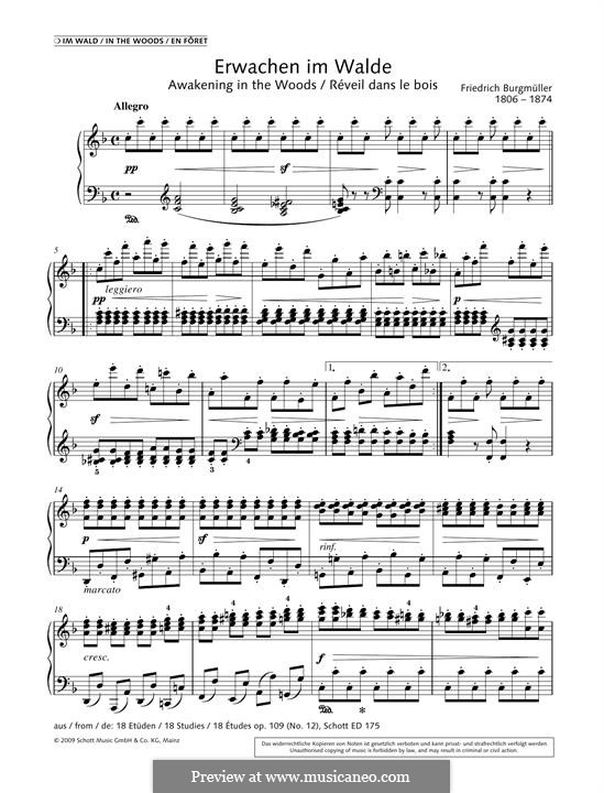 Etude No.12: For piano by Johann Friedrich Burgmüller