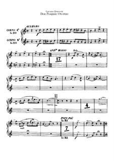 オペラ　ヴォーカルスコア　DON PASQUALE オペラ ヴォーカルスコア DON PASQUALE 本
