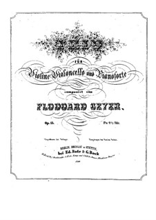 Piano Trio in E Flat Major, Op.13: Piano part by Flodoard Geyer
