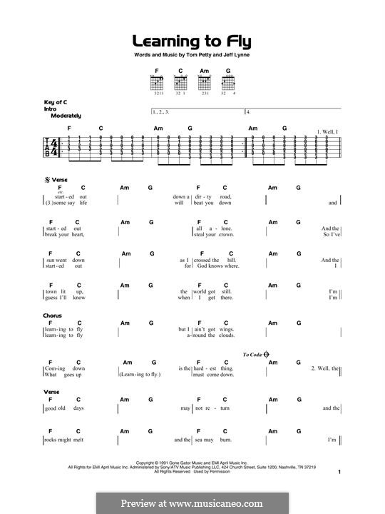 Learning to Fly (Tom Petty And The Heartbreakers): For guitar by Jeff Lynne