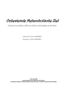 Onbestemde Melancholische Ziel: Onbestemde Melancholische Ziel by Tormy Van Cool