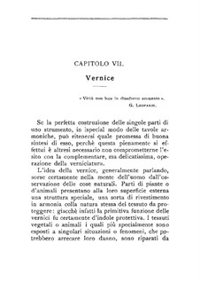 Il liutaio: Chapters VII-VIII by Domenico Angeloni