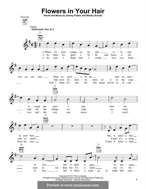 lumineers lyrics flowers in your hair