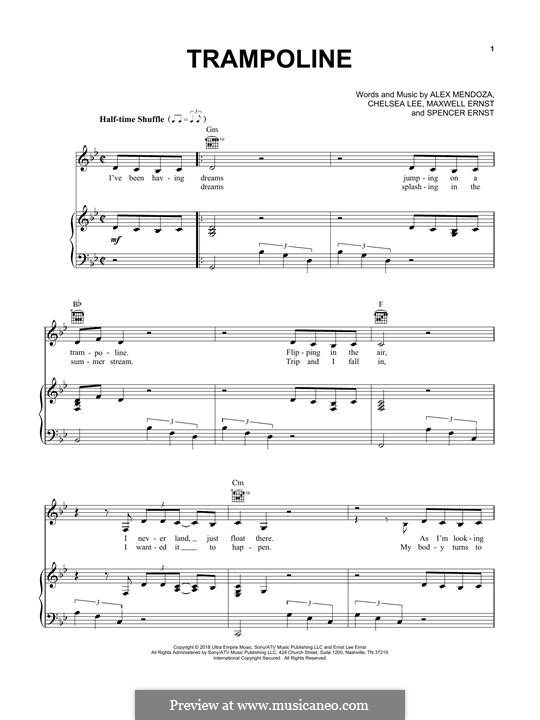 Trampoline (SHAED) by A. Mendoza, M.J. Ernst, S.T. Ernst, C. Lee on