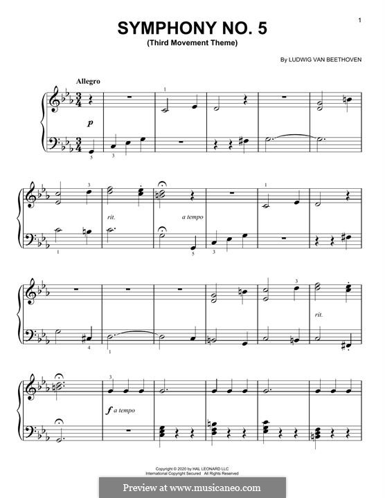 Movement III: Excerpt, for piano by Ludwig van Beethoven