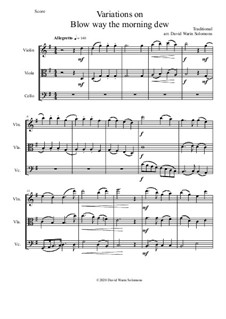 Blow away the morning dew: Variations, for string trio by folklore