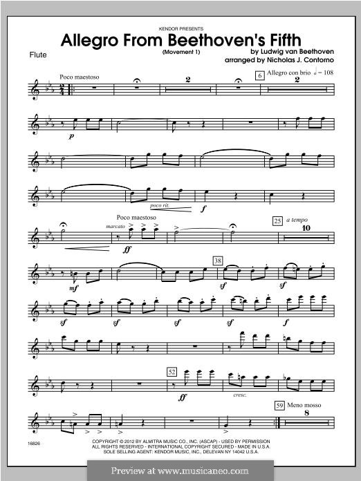 Movement I, Allegro: For wind band – Flute part by Ludwig van Beethoven