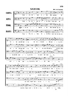 Confitebor tibi Domine: Confitebor tibi Domine by Orlande de Lassus