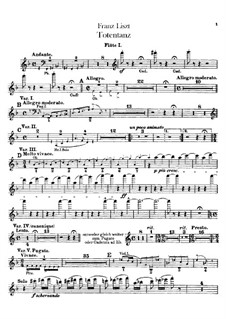 Dance of Death for Orchestra, S.126: Flutes parts by Franz Liszt