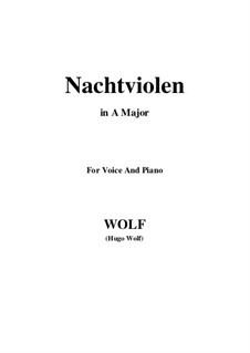 Nachtviolen: A Major by Hugo Wolf