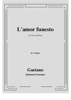 L'amor funesto. Romance: A Major by Gaetano Donizetti