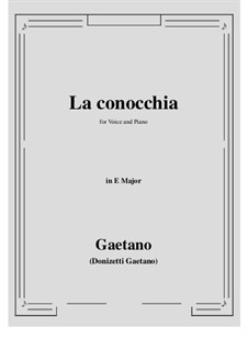 La conocchia: E Major by Gaetano Donizetti
